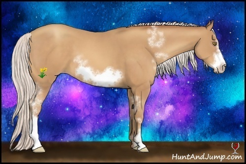 Horse Color:White Spotted Silver Amber Champagne Frame 
