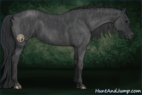 Horse Color:Blue Roan Brindle