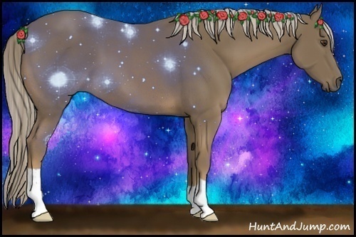 Horse Color:Chocolate Palomino 