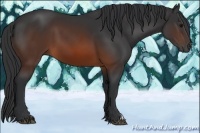 Horse Color:Brown 