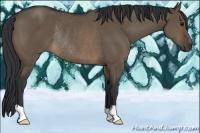 Horse Color:Brown Dun Rabicano 