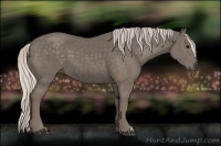 Horse Color:Silver Black 
