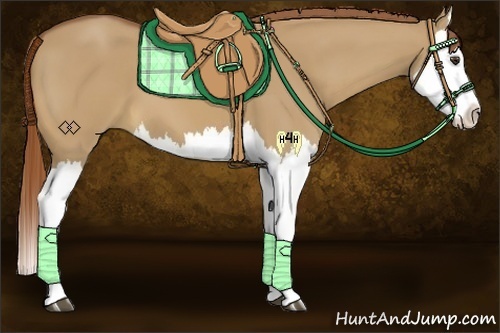 Horse Color:Red Dun Splash 