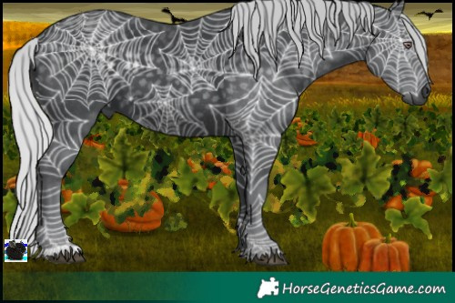 Horse Color:Silver Black Chinchilla 