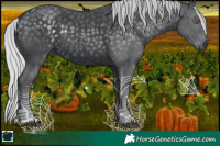 Horse Color:Silver Black Chinchilla 