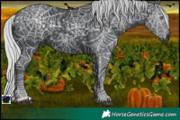 Horse Color:Silver Black Chinchilla