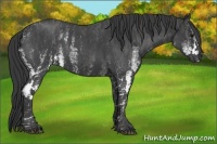 Horse Color:White Spotted Blue Roan Rabicano  Brindle