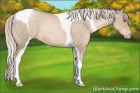 Horse Color:Chocolate Palomino Pearl Tobiano 