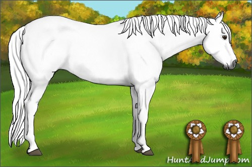 Horse Color:Gray White Spotted Red Dun 