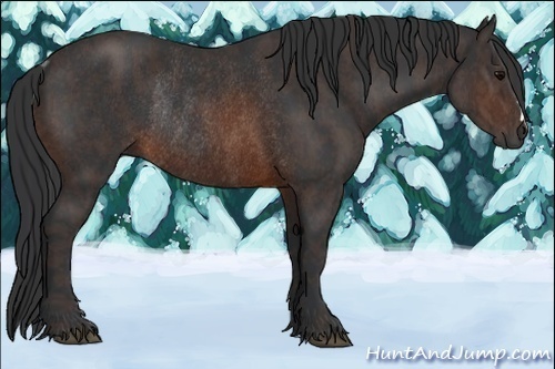 Horse Color:Brown Rabicano Brindle