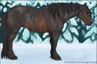 Horse Color:Brown Rabicano Brindle