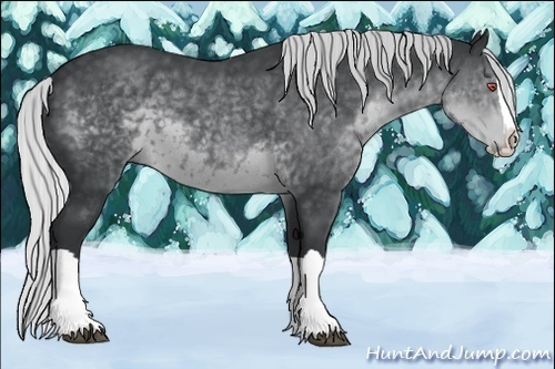 Horse Color:Silver Black Chinchilla Splash 