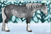 Horse Color:Silver Black Chinchilla Splash 