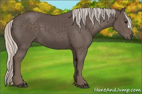 Horse Color:Silver Black