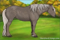 Horse Color:Silver Black 