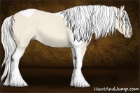 Horse Color:Cremello Tobiano 