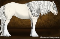 Horse Color:Cremello Dun Tobiano