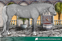 Horse Color:Silver Grullo Chinchilla 