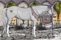 Horse Color:Silver Grullo Chinchilla