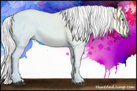 Horse Color:Gray Bay Ice 