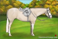 Horse Color:Silver Smoky Black Pearl Splash Frame