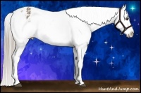 Horse Color:Chocolate Palomino Frame Varnish Rabicano 