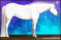 Horse Color:Liver Chestnut Sabino Splash Snowcap