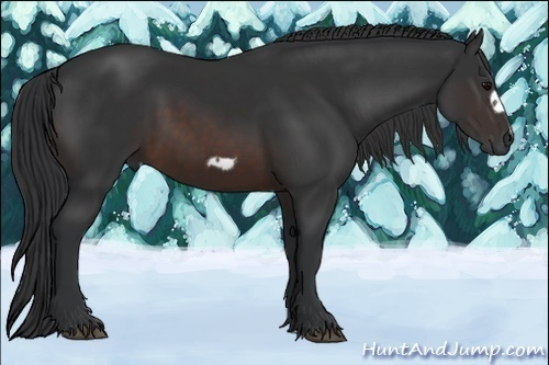 Horse Color:Brown Frame 