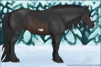 Horse Color:Brown Frame 