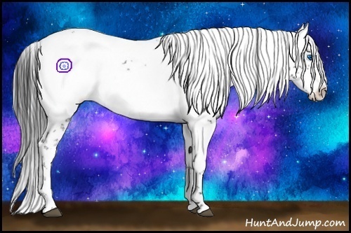 Horse Color:Black Frame