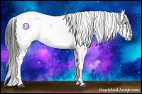 Horse Color:Black Frame 