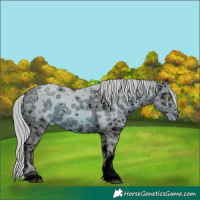 Horse Color:ERROR: UNKNOWN ANOMALY