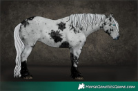Horse Color:ERROR: UNKNOWN ANOMALY