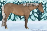 Horse Color:Silver Buckskin