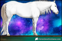 Horse Color:Smoky Black Pearl Tobiano Appaloosa 