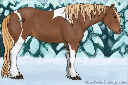Horse Color:Chestnut Tobiano 