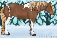 Horse Color:Chestnut Tobiano