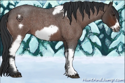 Horse Color:Bay Roan Tobiano Frame