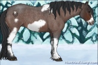 Horse Color:Bay Roan Tobiano Frame 