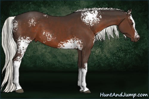 Horse Color:White Spotted Liver Chestnut Mushroom 