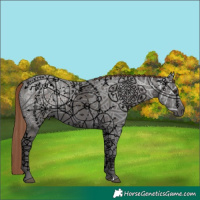 Horse Color:Liver Chestnut Ice 
