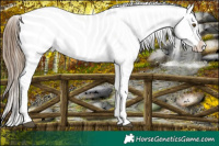 Horse Color:White Spotted Liver Chestnut Ice Pearl Frame Near Leopard