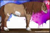 Horse Color:Red Dun Frame Rabicano