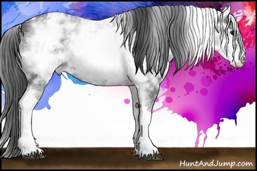 Horse Color:White Spotted Smoky Black Ice 