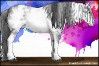 Horse Color:White Spotted Smoky Black Ice 