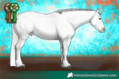 Horse Color:Liver Chestnut Mushroom Sabino Near Leopard 