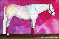 Horse Color:Silver Brown Chinchilla Roan Sabino Appaloosa Rabicano 