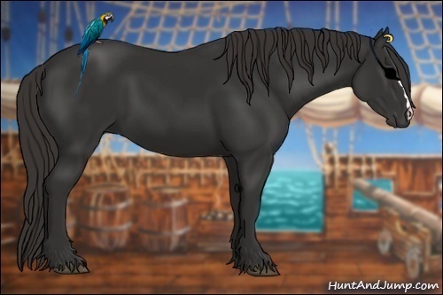 Horse Color:Liver Chestnut Frame 