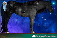 Horse Color:ERROR: UNKNOWN ANOMALY