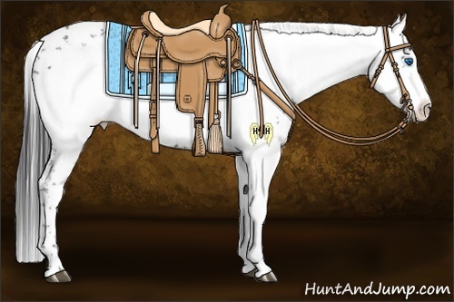 Horse Color:Black Frame 